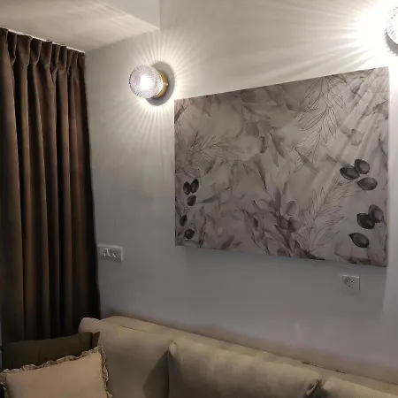 Apartment Modern Olive 30 Meters From The In