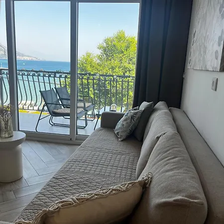 Modern Olive 30 Meters From The In *