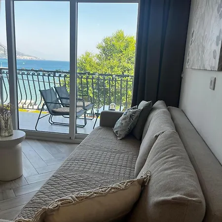 Modern Olive 30 Meters From The In *